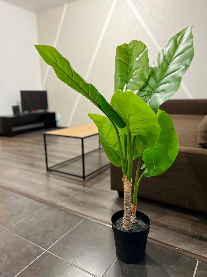 Appartamento Cosy 0 , Mulhouse Centre Esterno foto